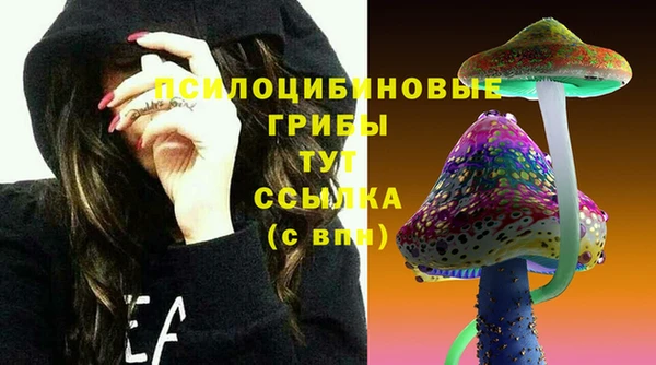 СК Покров